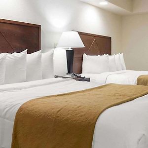 Queen Suite